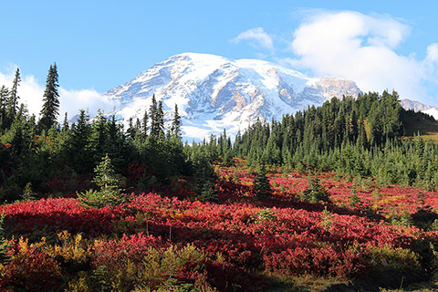 Mount Rainier National Park